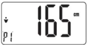 ↓ p1 165 cm 105