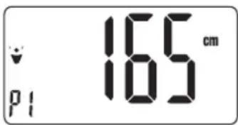 165 cm p1 165