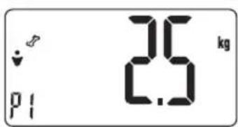 2.5 kg p1