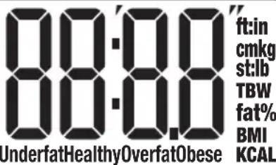 88:00 ft:in cmkg st:lb TBW fat% BMI KCAL UnderfatHealthyOverfatObese