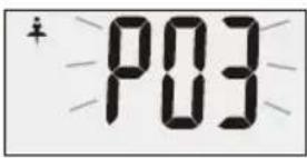 P03
