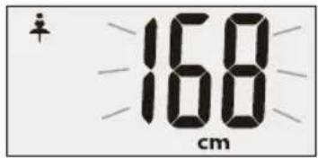 168 cm