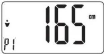 ↓ p1 165 cm 105