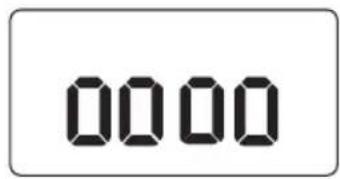 0000