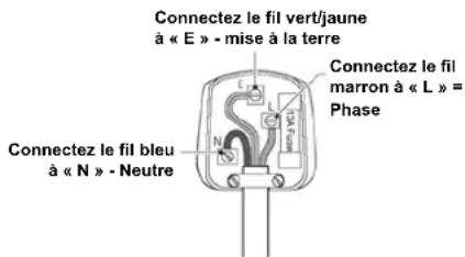 HISENSE FT247D4AWYLE - Remplacement de la prise (RU et Irlande seulement) - 1