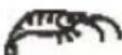 CONTINENTAL EDISON CEFRSH1400B - Fin du programme - 7