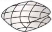 THOMSON THWD96140DGAD - Niet wasbaar • droog/niet-droge kleding - 11