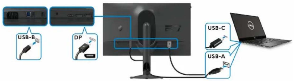 ALIENWARE AW2724HF - Connexion des câbles DisplayPort (USB-C à DP) et USB - 1
