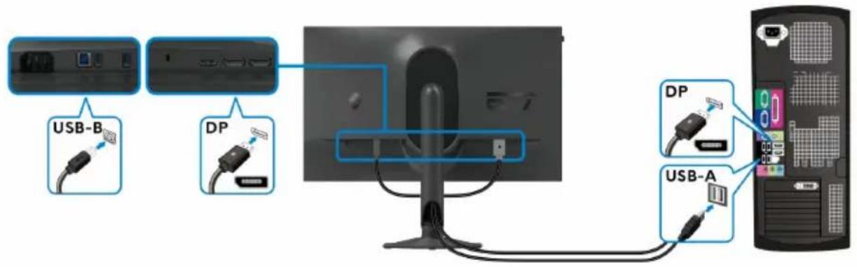 ALIENWARE AW2724HF - Connexion des câbles DisplayPort (DP à DP) et USB - 1