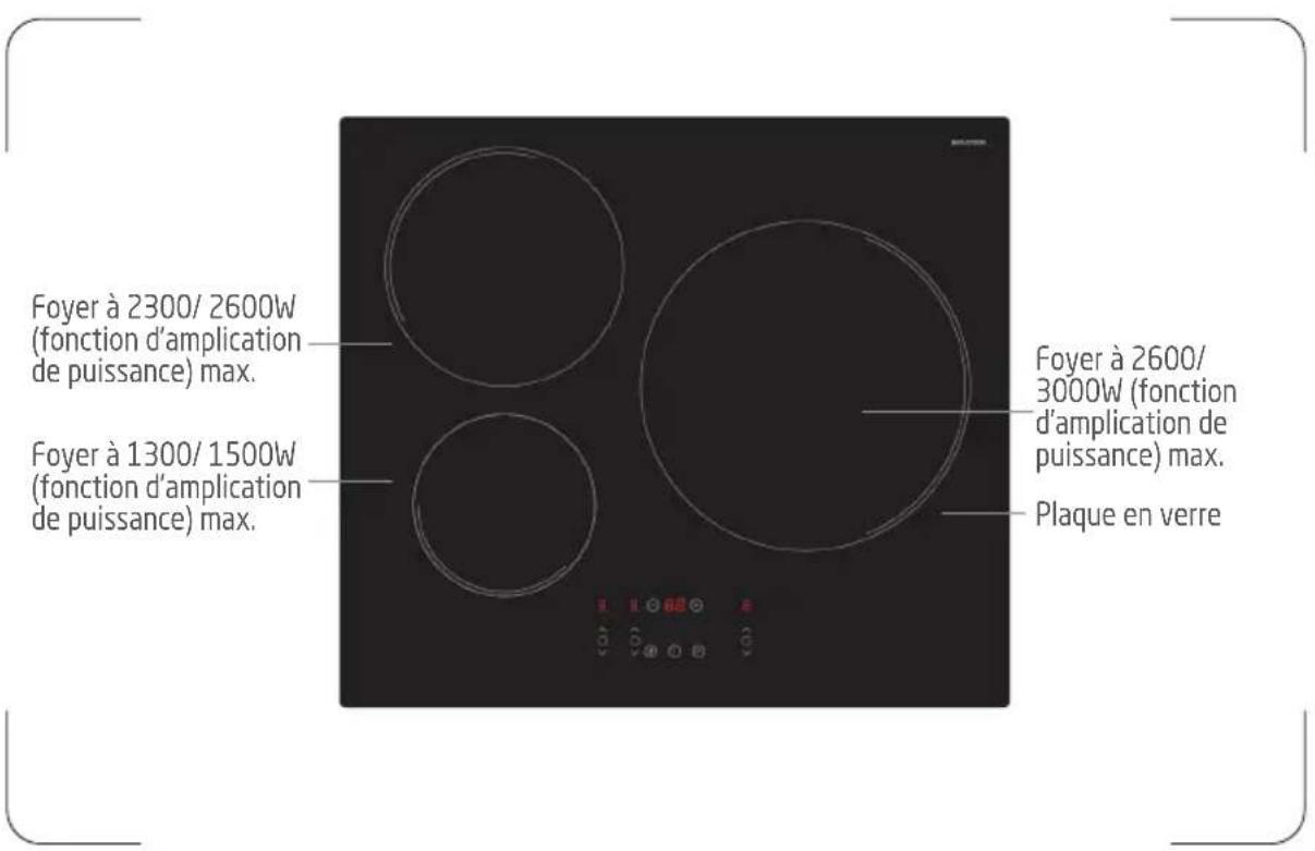 PROLINE IH3520 - DESCRIPTION - 1