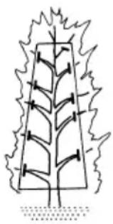 HiKOKI CH18DSL - Desramar árboles de jardín - 1