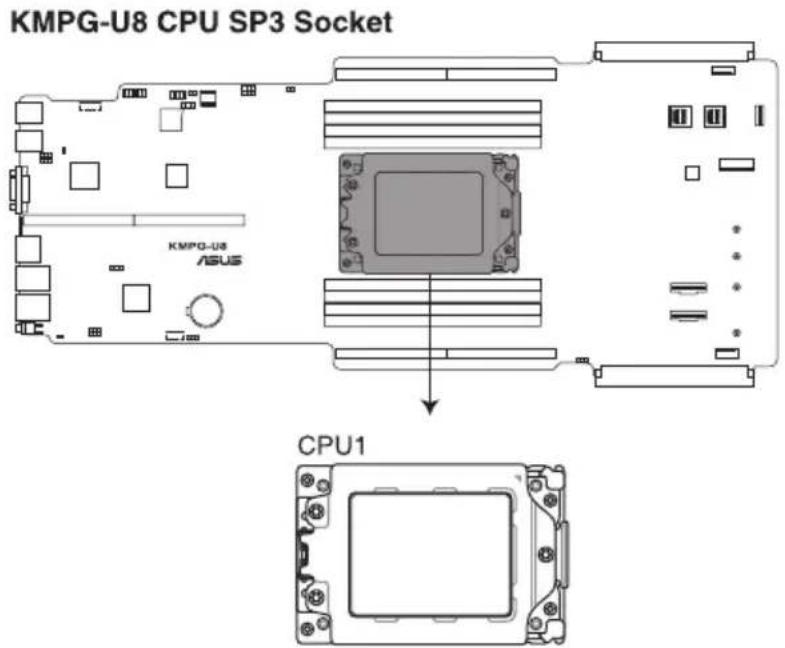 KMPG-U8 CPU SP3 Socket KMPG-U8 ASUS CPU1