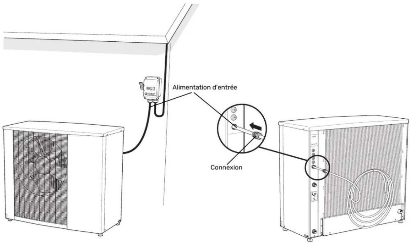 Alimentation d'entrée Connexion