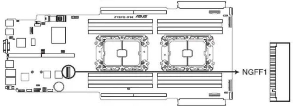 Z12PG-018 AGUS NGFF1