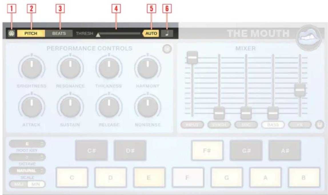 NATIVE INSTRUMENTS The Mouth - Input Controls Section - 1