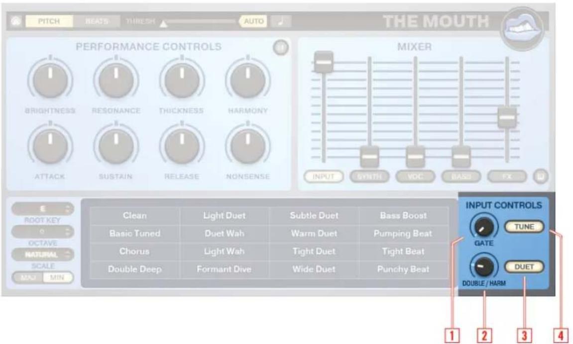 NATIVE INSTRUMENTS The Mouth - Input Controls - 1