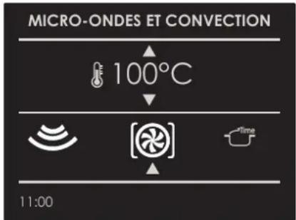 MICRO-ONDES ET CONVECTION 100°C 11:00