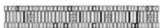Homak Security HS30120100 - Composant de mousse - 1