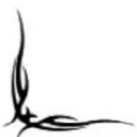 Homak Security HS30120100 - Composant de mousse - 2