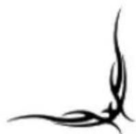 Homak Security HS30120100 - Composant de mousse - 3