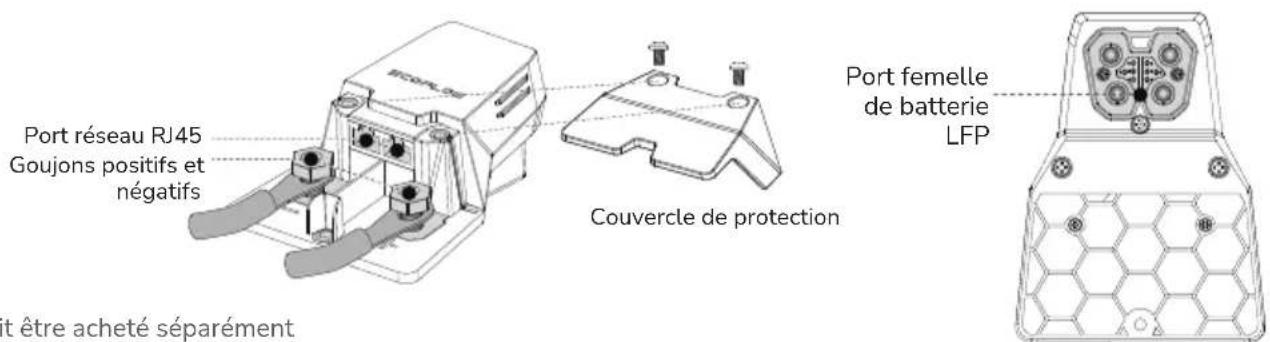 ECOFLOW 2kWh LFP Battery - Connexion de la batterie à des systèmes d'alimentation tiers - 1