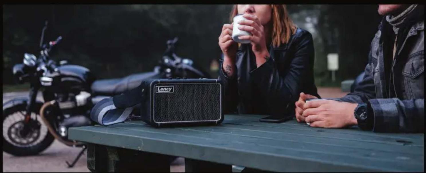 Laney F67-SUPERGROUP - LANEY SOUND SYSTEMS - 1