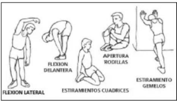 BH FITNESS Cross1100 H8750 - La fase de calentamiento. - 1