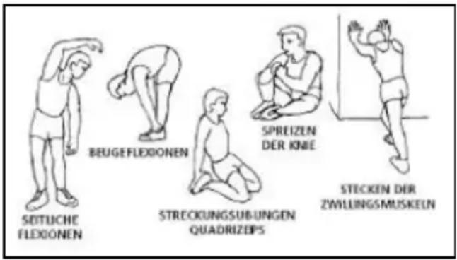 BH FITNESS Vario Program R350 - Aufwärmphase. - 1