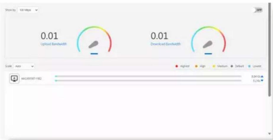 ASUS ExpertWiFi EBM68 - Surveillance de la bande passante - 1