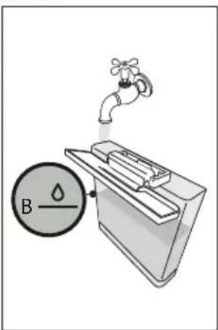 B