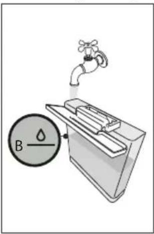 B