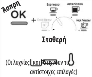 DELONGHI La Specialista Pro EC9255.M - ΕΠΕΞΗΓΗΣΗ ΤΩΝ ΛΥΧΝΙΩΝ - 2