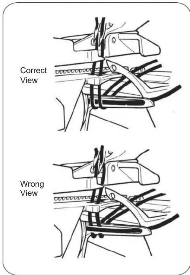 Correct View Wrong View