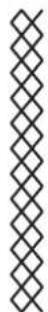 Carina Classic II - FR Point droit triple/point zigzag - 3