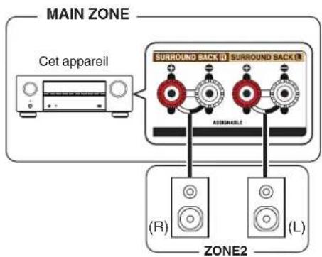 DENON AVR-X1800H - ■ Connexion 1: Connexion à l'aide d'une borne de sortie d'enceinte - 1