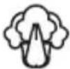 Neno Lindo - MODUL DE FUNCTIONARE - 4