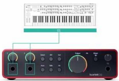 FOCUSRITE Scarlett 2i2 4th Gen - Connector des appareils de niveau ligne - 1