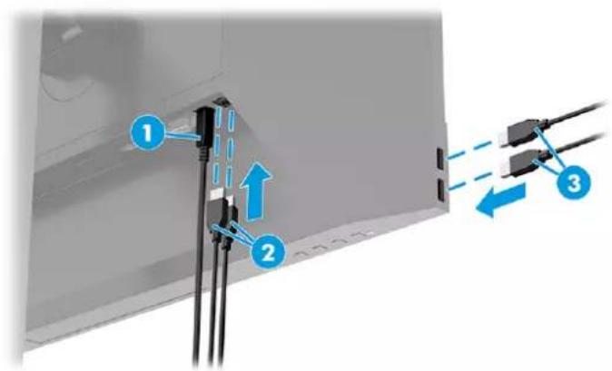 HP E24mv G4 - Connexion des périphériques USB - 2