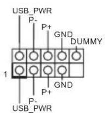 USB_PWR P- P+ GND DUMMY 1 P+ GND P- USB_PWR