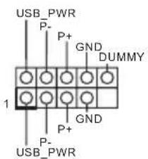 USB_PWR P- P+ GND DUMMY 1 P+ GND P- USB_PWR