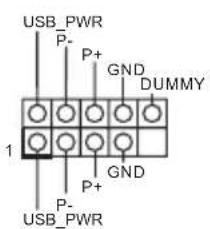 USB_PWR P- P+ GND DUMMY 1 P+ GND P- USB_PWR