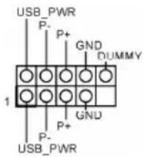 USB_PWR P- P+ GND DUMMY 1 GND P+ P- USB_PWR