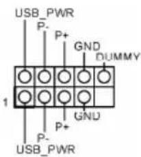 USB_PWR P- P+ GND DUMMY 1 GND P+ P- USB_PWR
