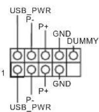 USB_PWR P- P+ GND DUMMY 1 P- P+ GND USB_PWR
