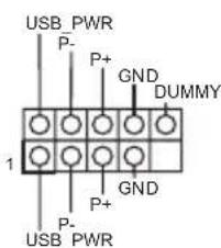 USB PWR P- P+ GND DUMMY 1 P+ GND P- USB PWR