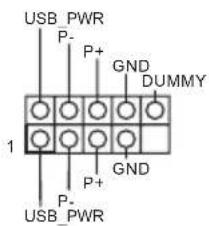 USB PWR P- P+ GND DUMMY 1 P+ GND P- USB PWR