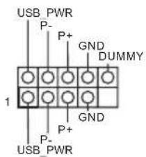 USB PWR P- P+ GND DUMMY 1 GND P+ P- USB PWR