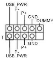 USB_PWR P- P+ GND DUMMY 1 P+ GND P- USB_PWR