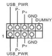 USB_PWR P- P+ GND DUMMY 1 GND P+ P- USB_PWR