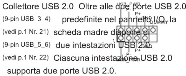 Collettore USB 2.0 Oltre alle due porte USB 2.0 (9-pin USB_3_4) predefinite nel panneo I/O la (vedi p.1 Nr. 21) scheda madre disporne di (9-pin USB_5_6) due intestazioni USB 2.0 (vedi p.1 Nr. 22) Ciascuna intestazione USB 2.0 supporta due porte USB 2.0.